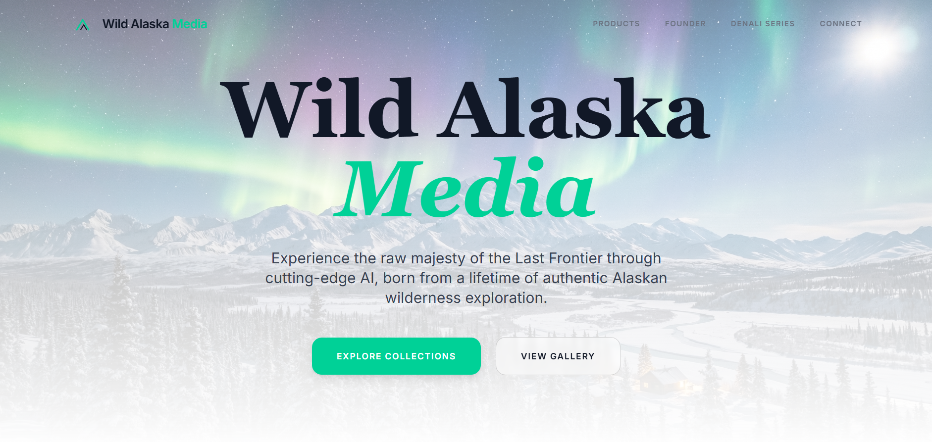 Website services example